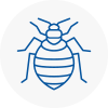 Bed Bug Extermination In St Helens