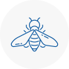 Bee Nest Removal St Helens