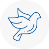 Bird Prevention St Helens