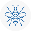 St Helens Hornet Nest Removals
