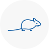 Mice Exterminators In St Helens