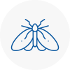 Moth Control Specialists In St Helens