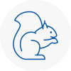 St Helens Rodent Removals